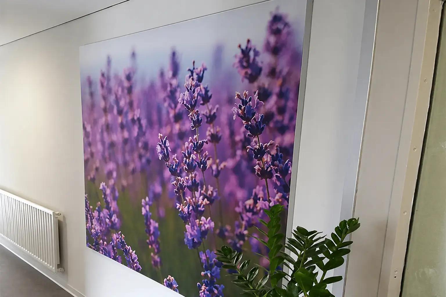 Grote wanddecoratie met fotoprint van paarse lavendelbloemen, strak gemonteerd op een witte binnenmuur als sfeervolle interieurvisual.