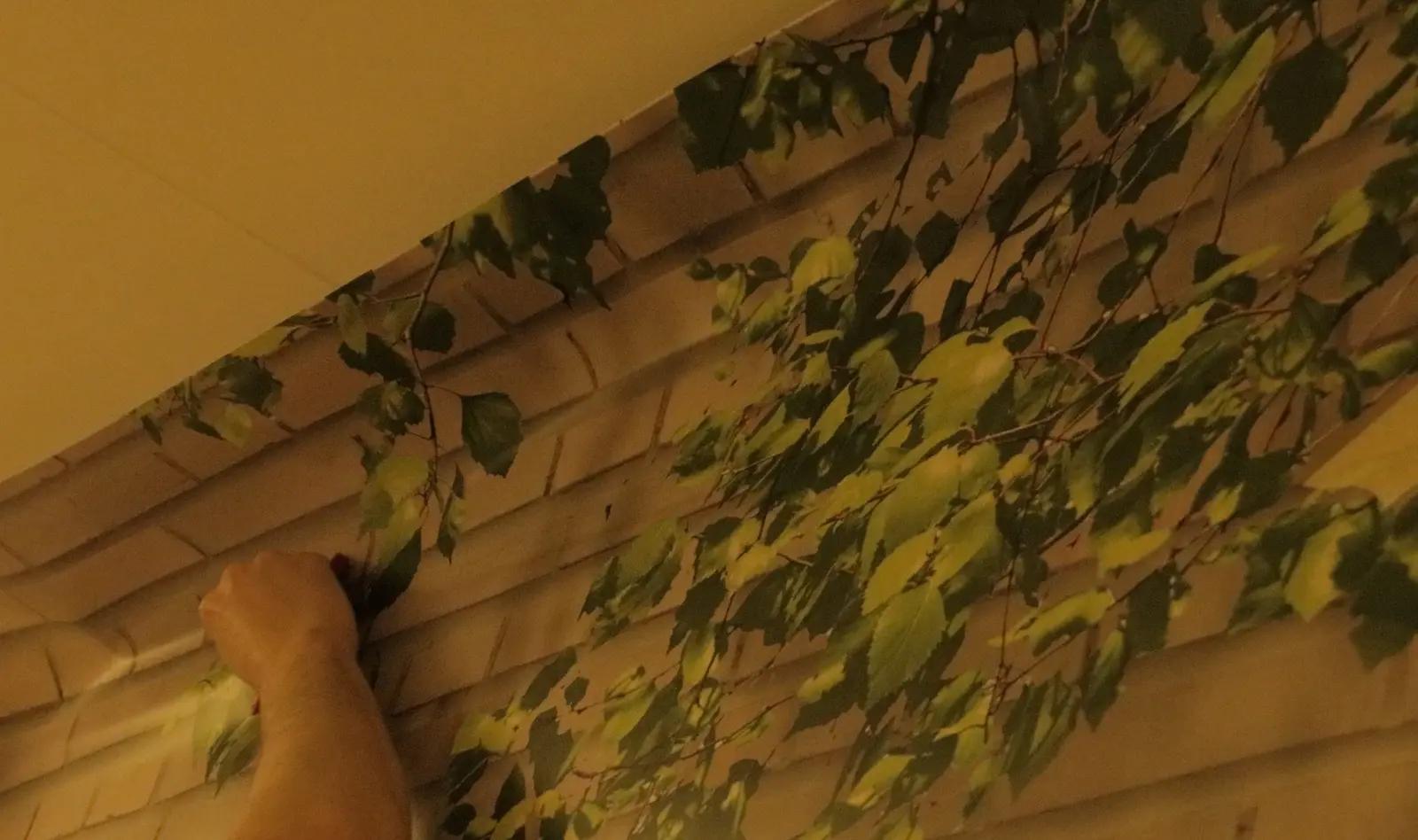 Applying wall film along the upper edge