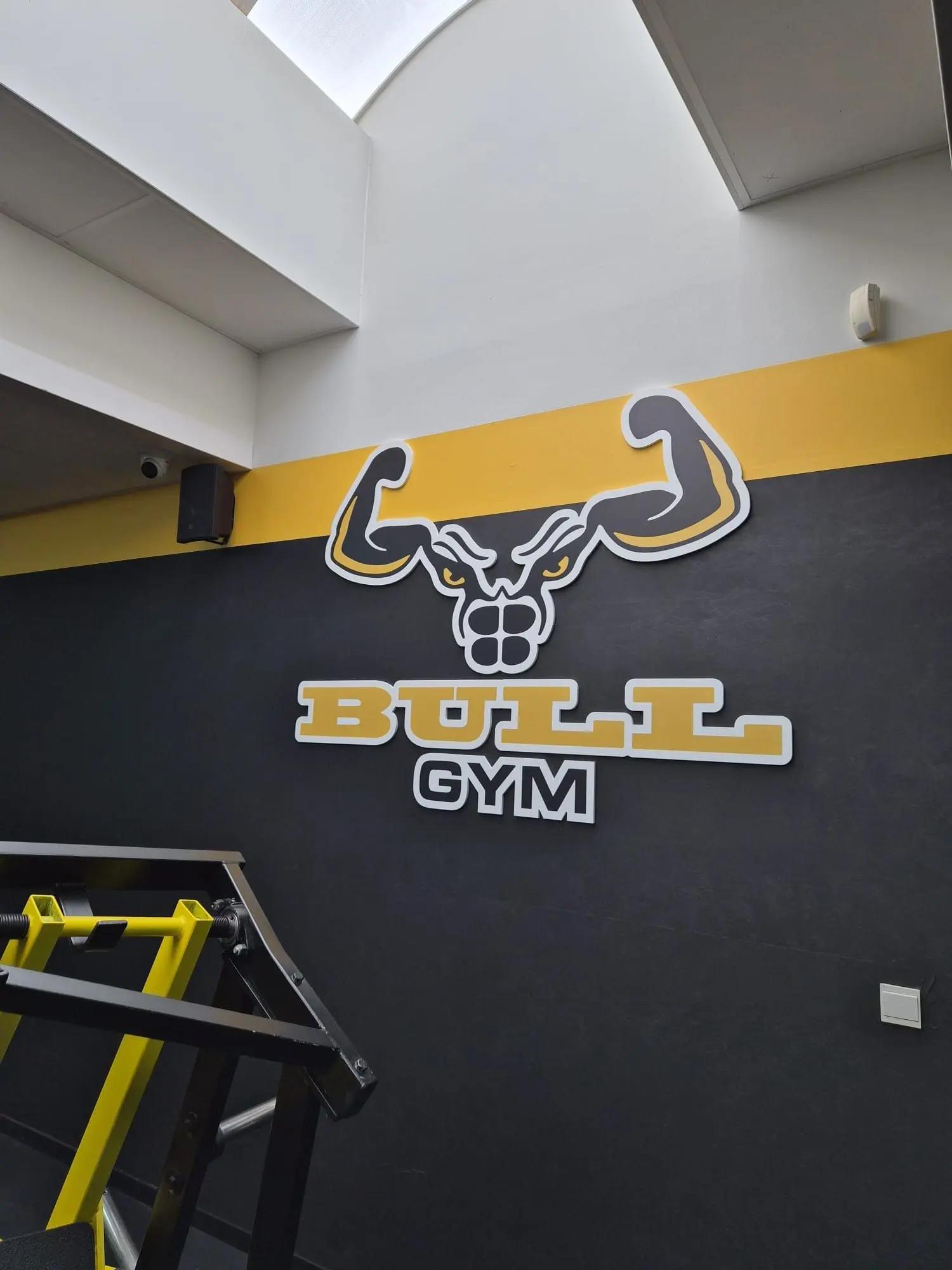 Dimensional Bull Gym logo on a dark wall in the fitness area.