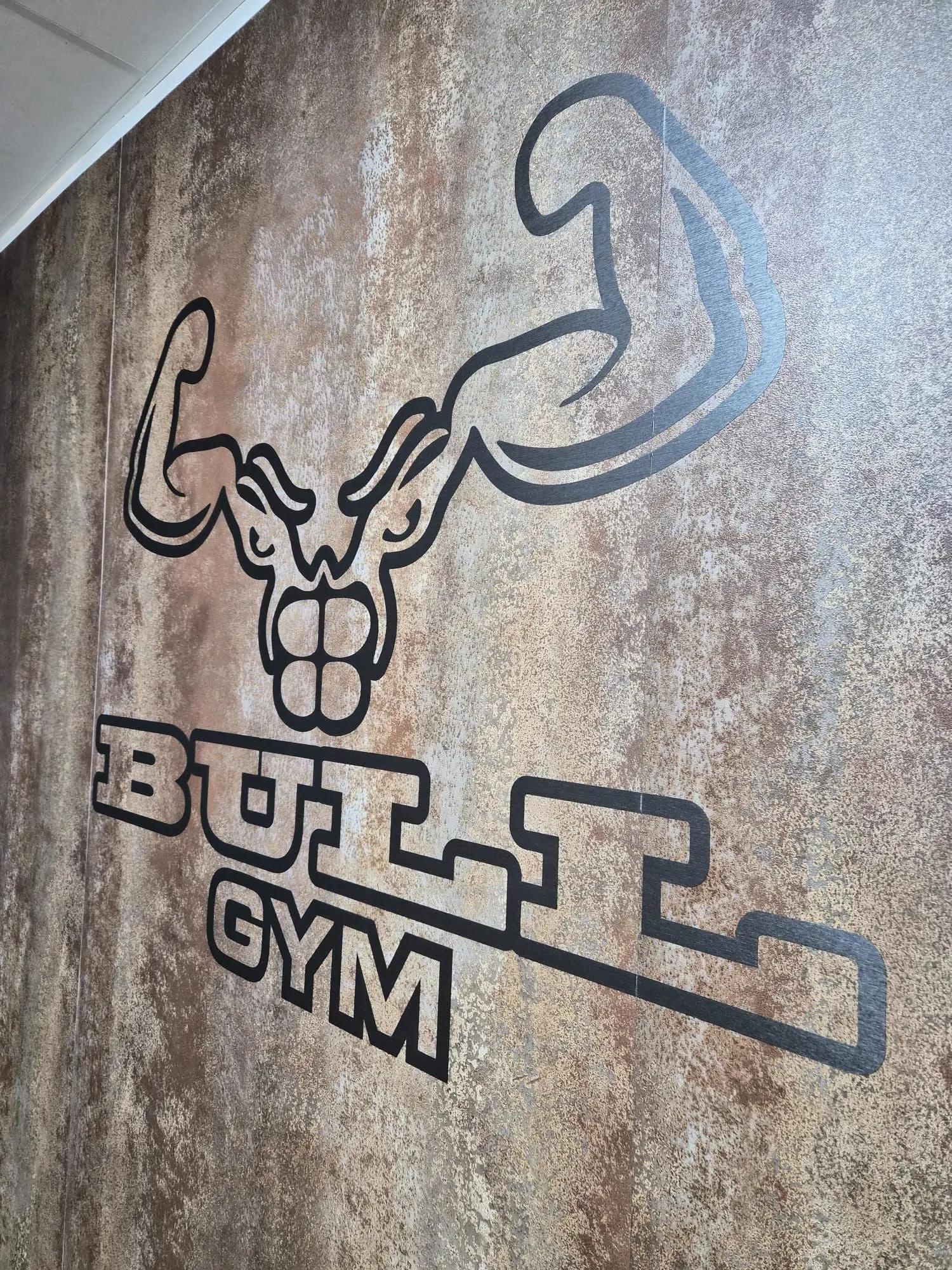 Bull Gym logo outline on a wall with a metallic appearance.