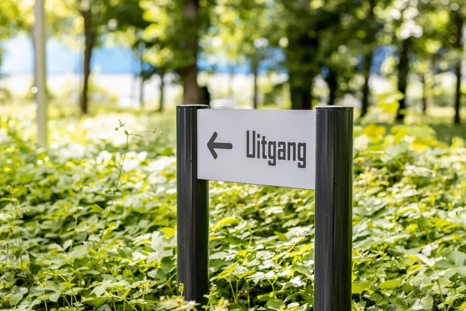 Exit sign between dark posts amongst the greenery
