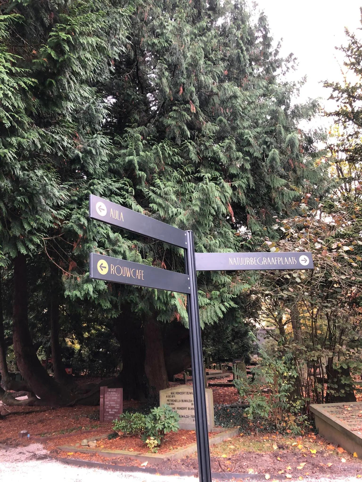 Fingerpost sign with several directional arms at a path junction among trees.