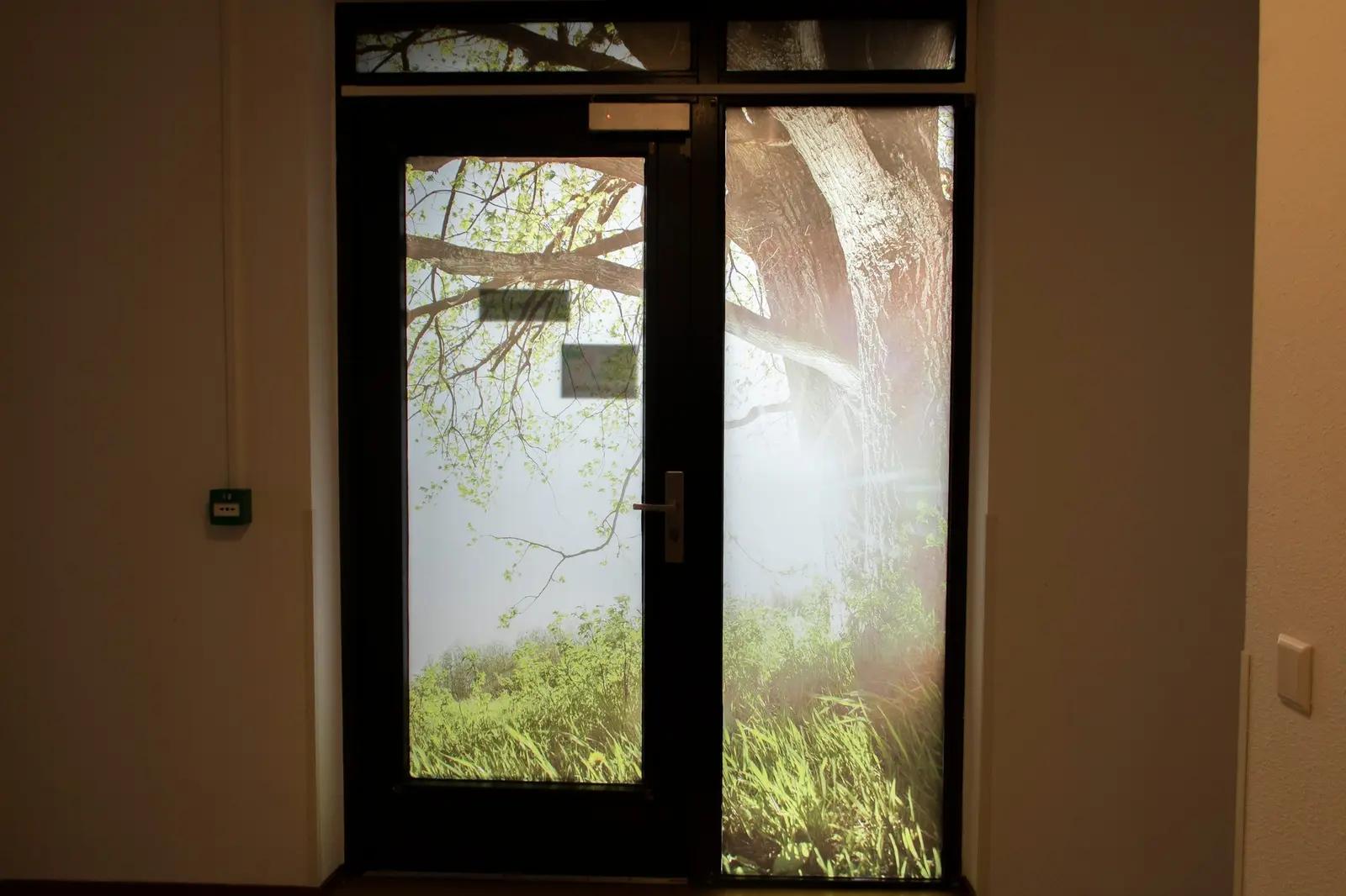Tree graphic on the glazed door
