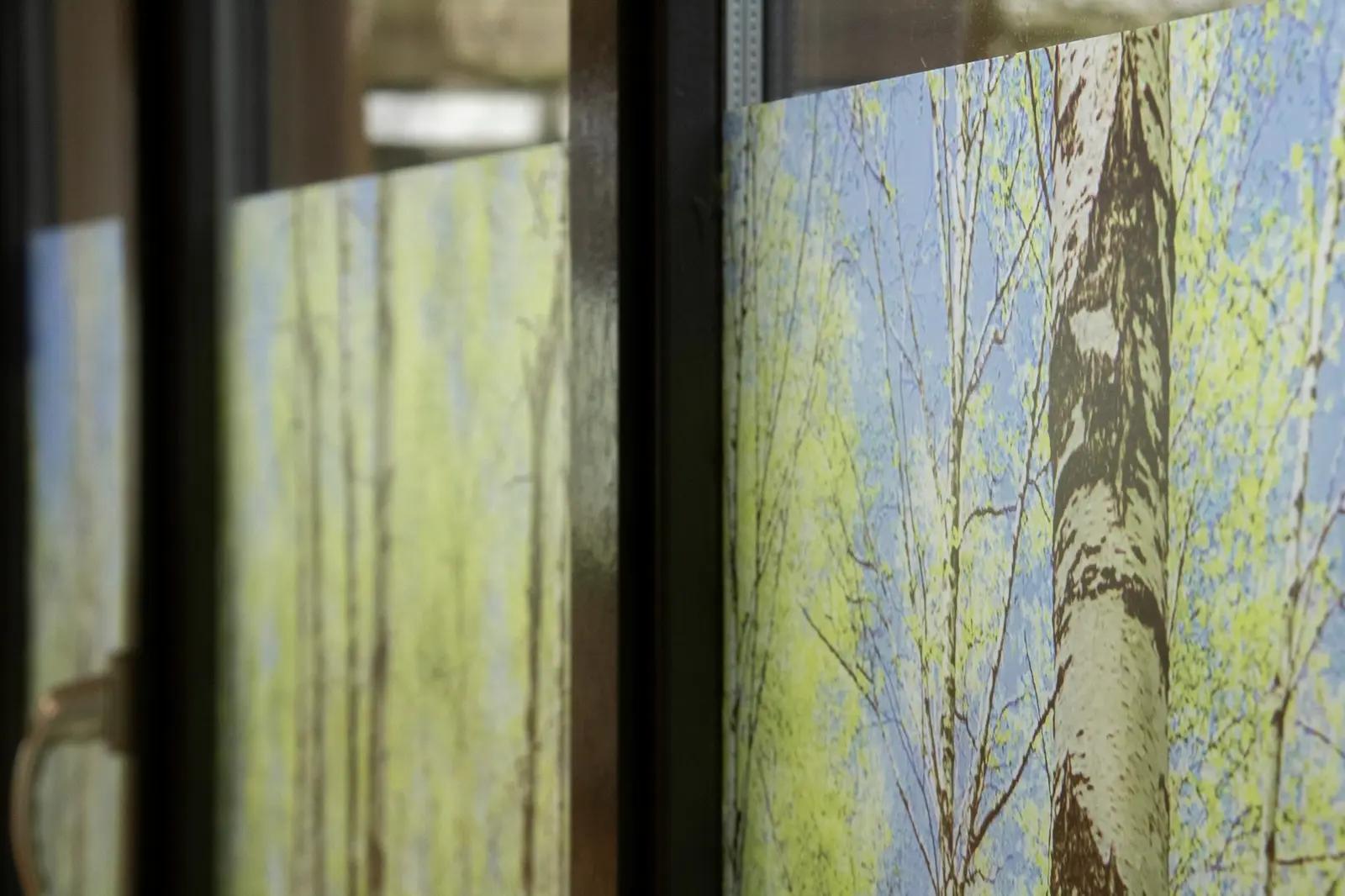 Detail of the birch-tree window graphics