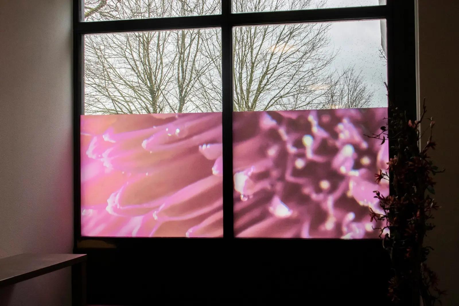 Floral print on a large window pane